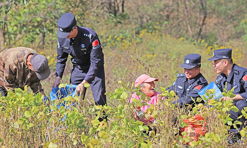 69a2a9bf0e89948f4978922e857bc071